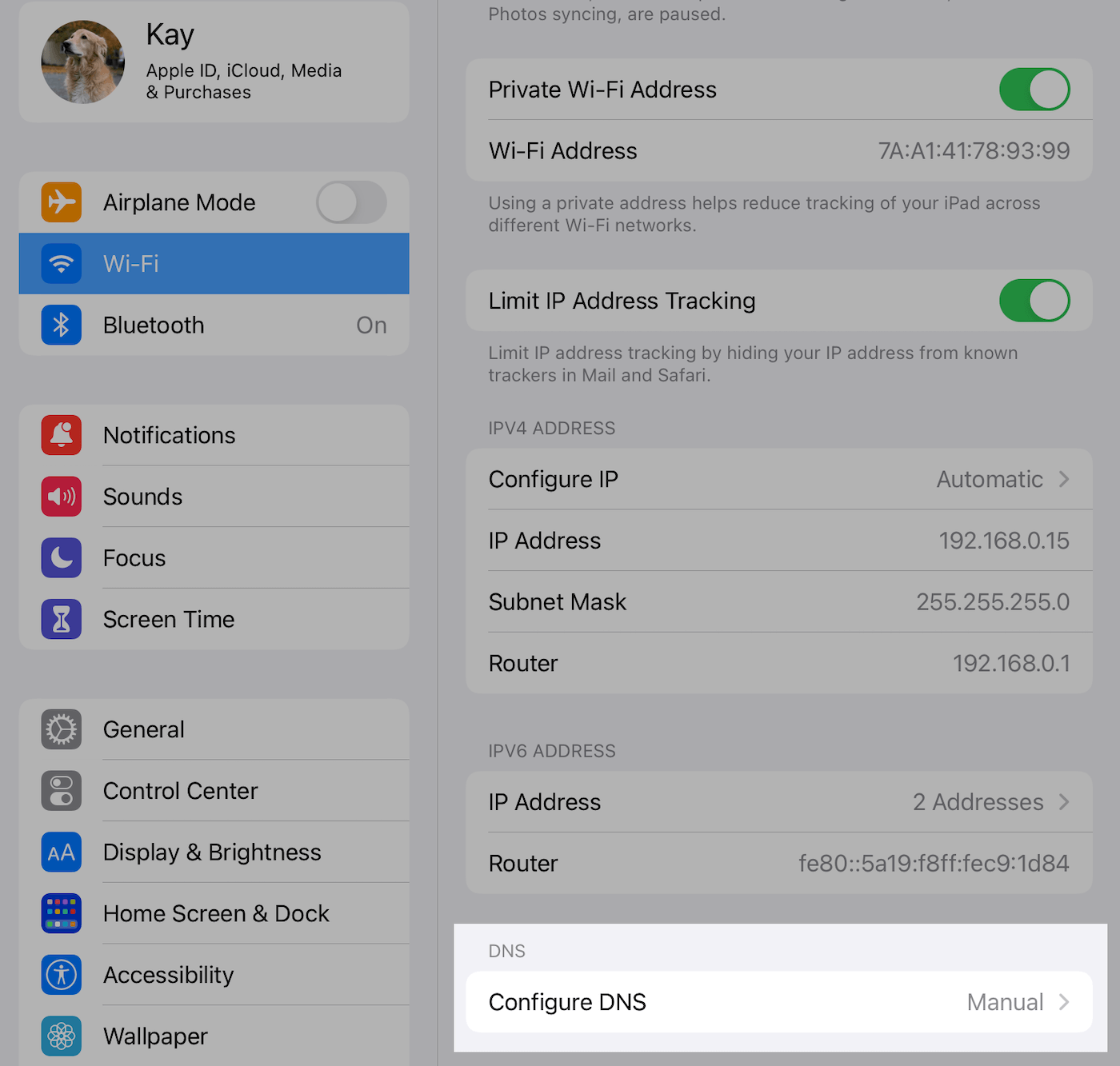 Configure DNS in iOS Settings