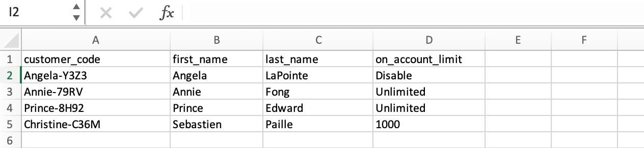 Section of bulk import customer spreadsheet with customer_code, first_name, last-name, and on_account_limit columns visible.