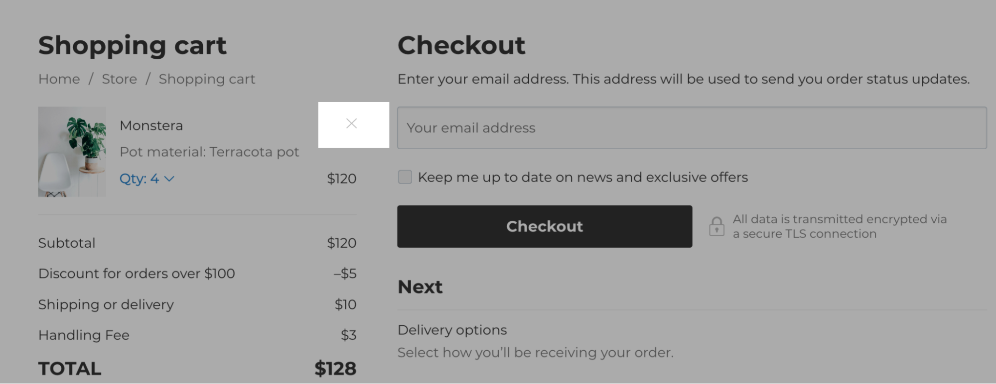 remove products from the shopping cart.png