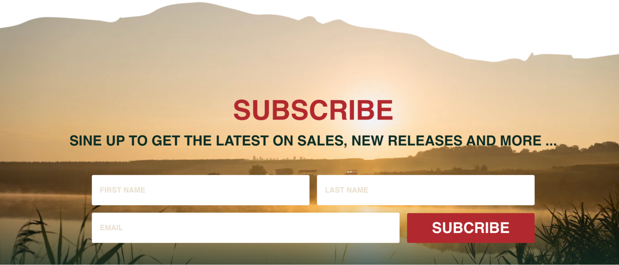 How to create a landing page for your retail brand with Lightspeed eCom3.png