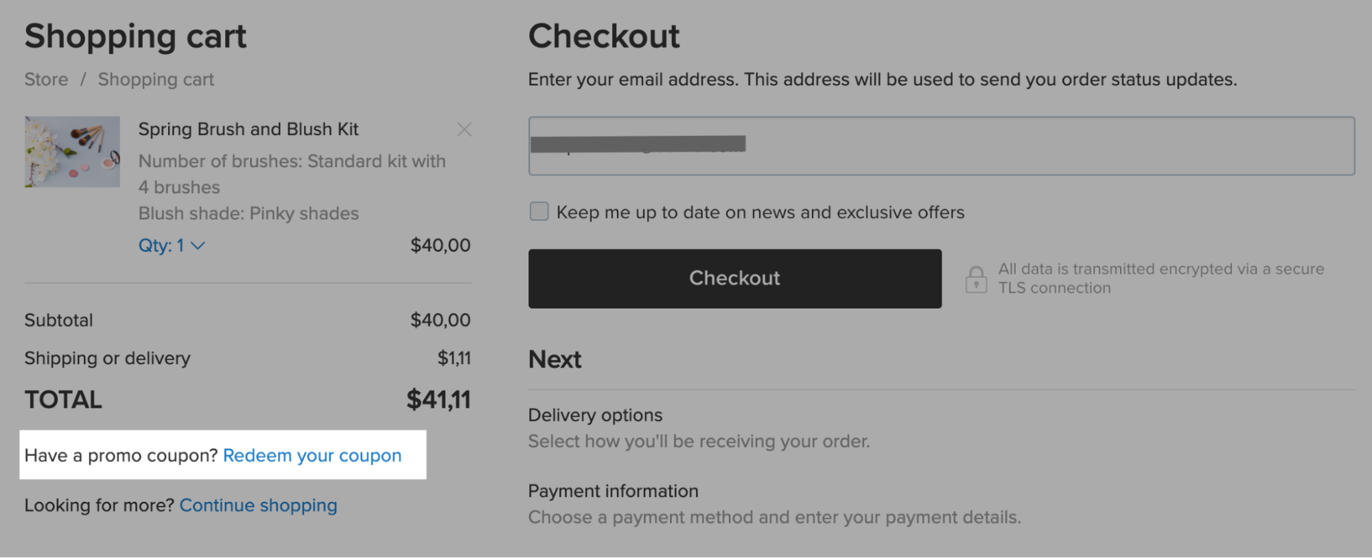 Redeeming a discount coupon at checkout