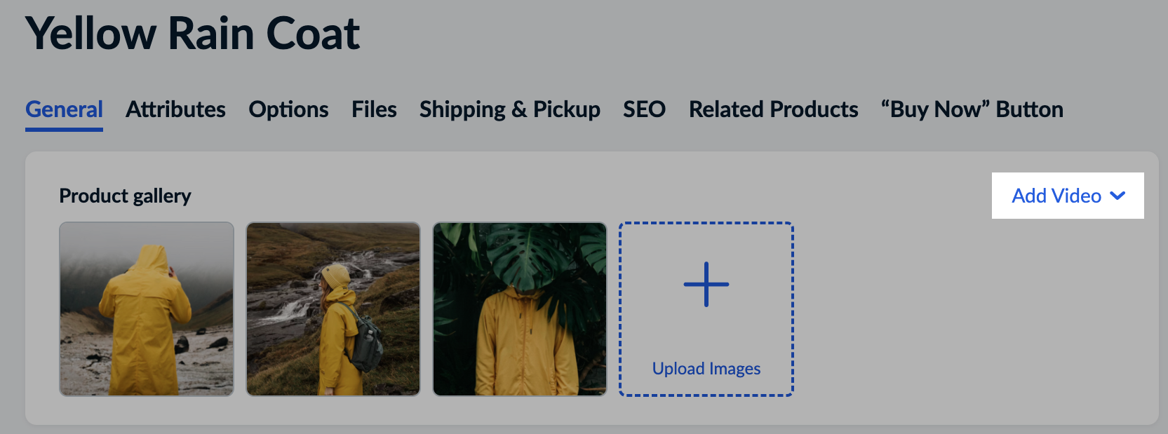 Adding a video on a product page in eCom