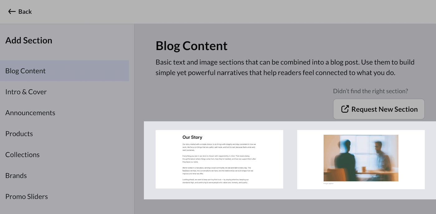 Section selection page with Text and Image card options highlighted.