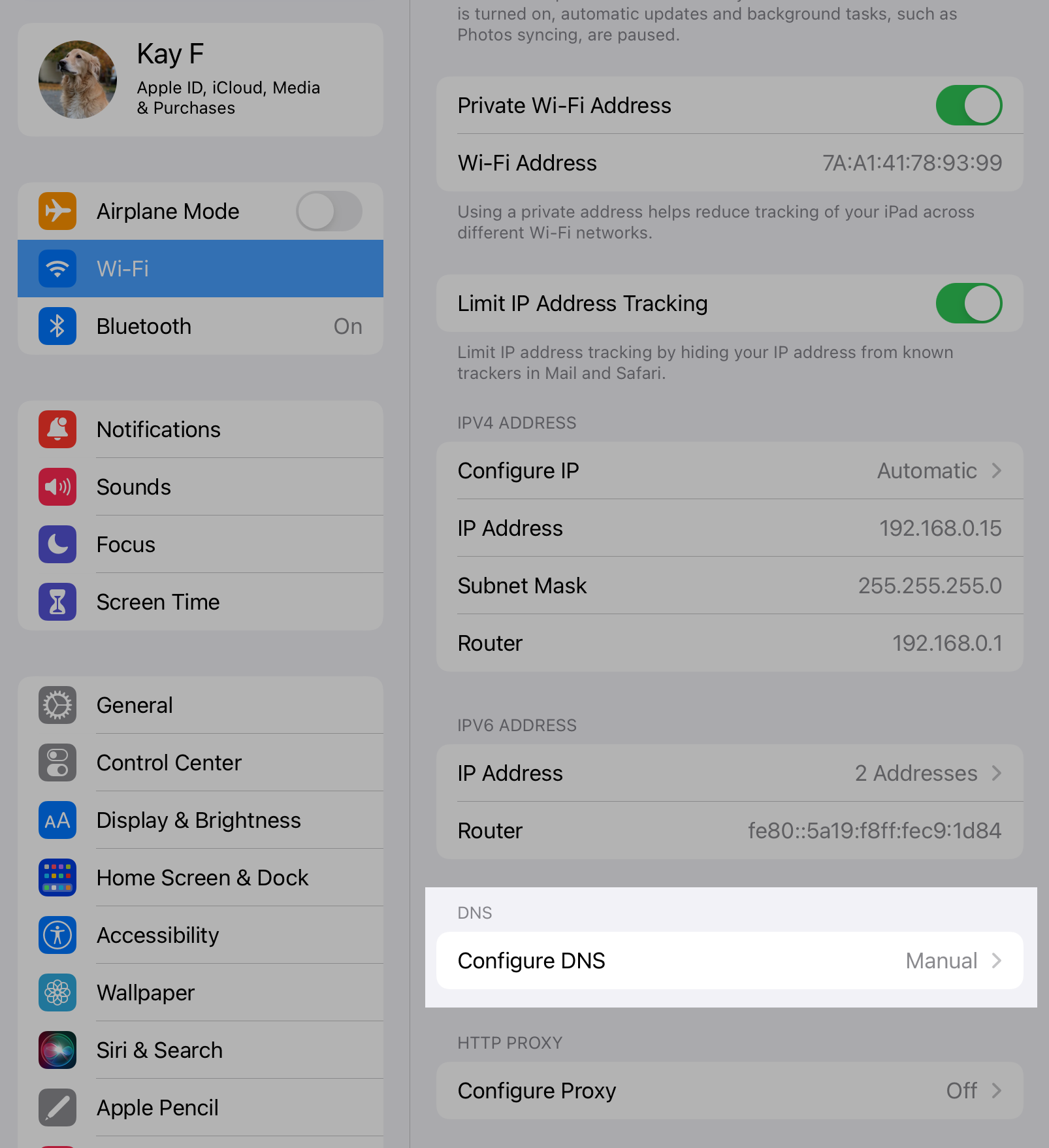 Configure DNS option in Wi-Fi settings on iOS