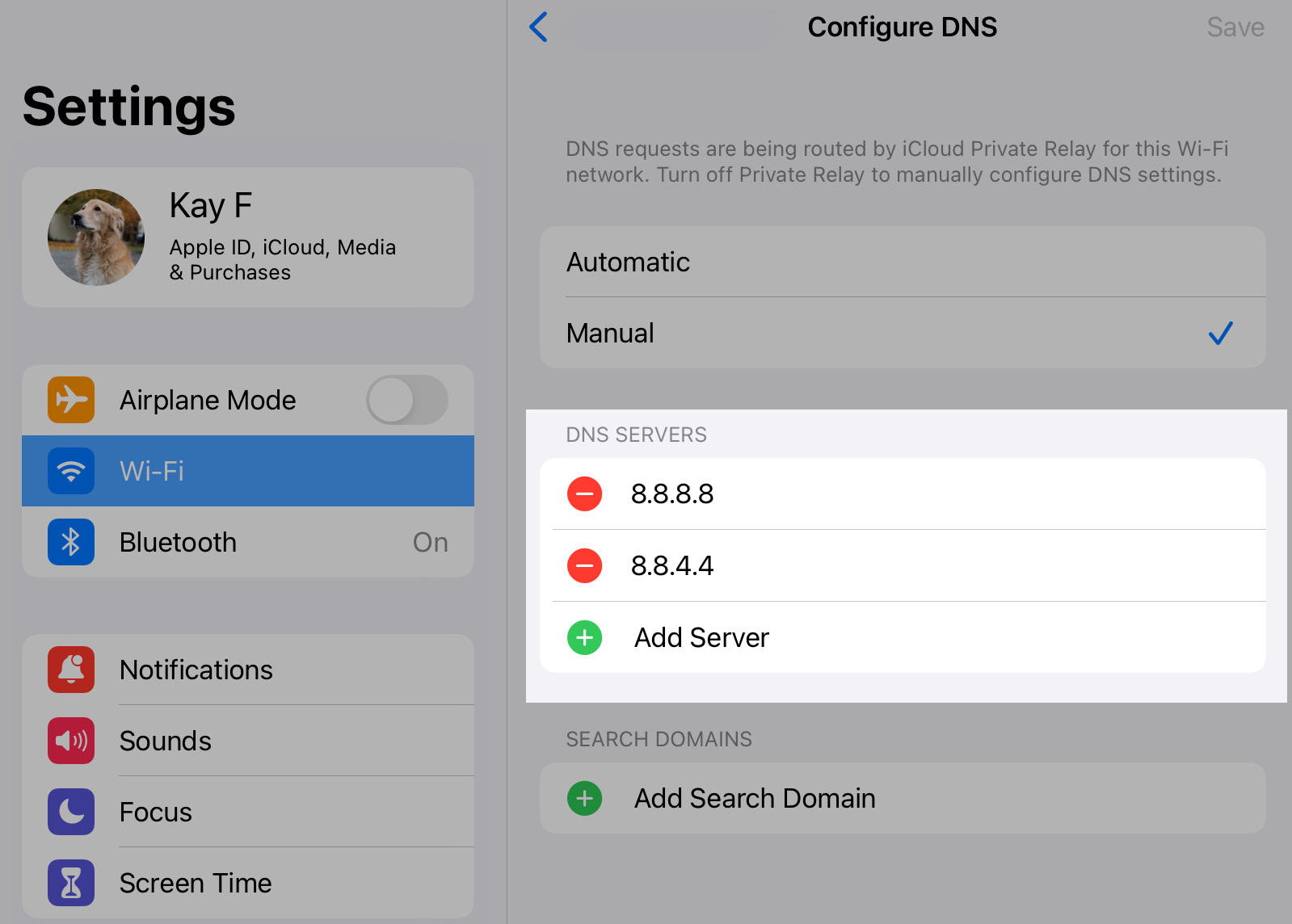 Manual DNS configuration with Google IPv4 addresses on iOS