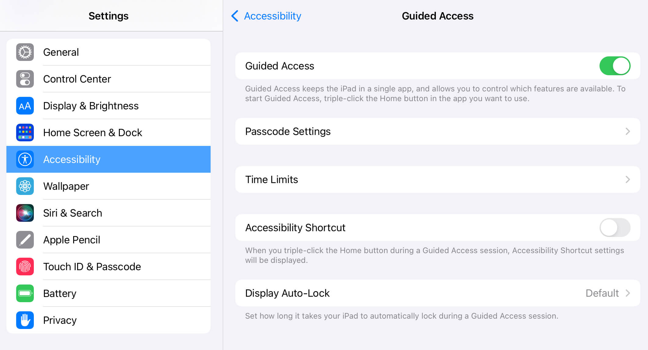 iPad guided access